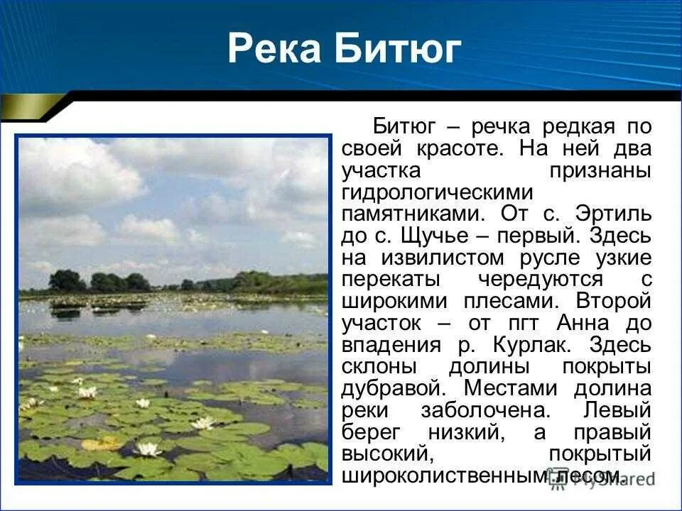 Кривоборье воронежская область. Воронежская область какая река. Воронежская область какая река. Описание реки воронеж. Воронежская область какая река.