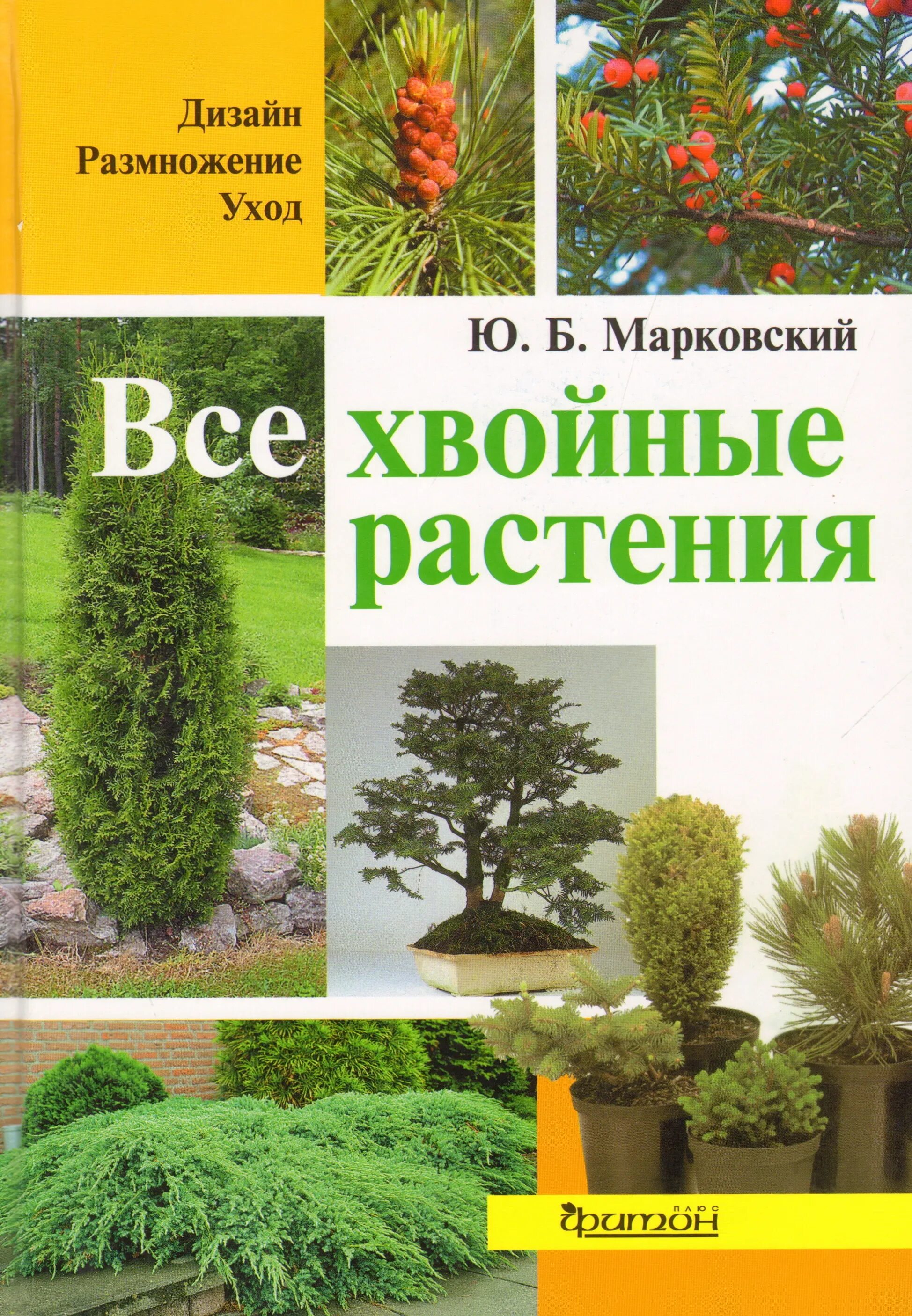 Книги хвойных. Книга энциклопедия хвойных растений Марковский. Книга деревья хвойные. Книги про хвойные растения. Книжка хвойное растение.