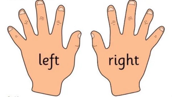 Left right. The left rights the left rights. Left hand right hand. Right left Flashcards. Facts rights