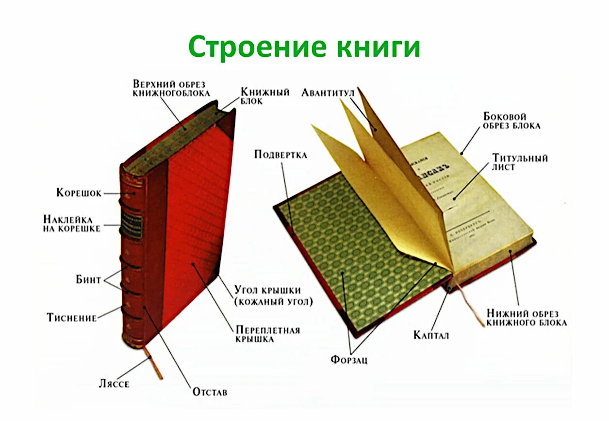 Книгу по ее содержанию. Из чего состоит книга структура книги. Как правильно называются части книги. Книга переплет вид сбоку. Структура книги схема.