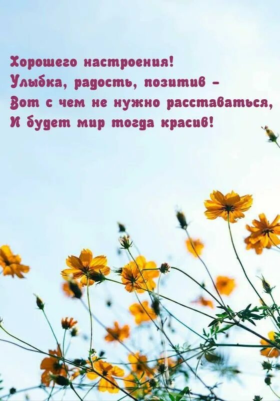 Пусть поднимется настроение. Пусть поднимется настроение