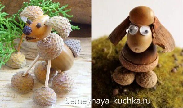 Собачка из желудей. Собачка из желудей и пластилина. Ежик из желудей. Собака из желудей. Собака из желудей.