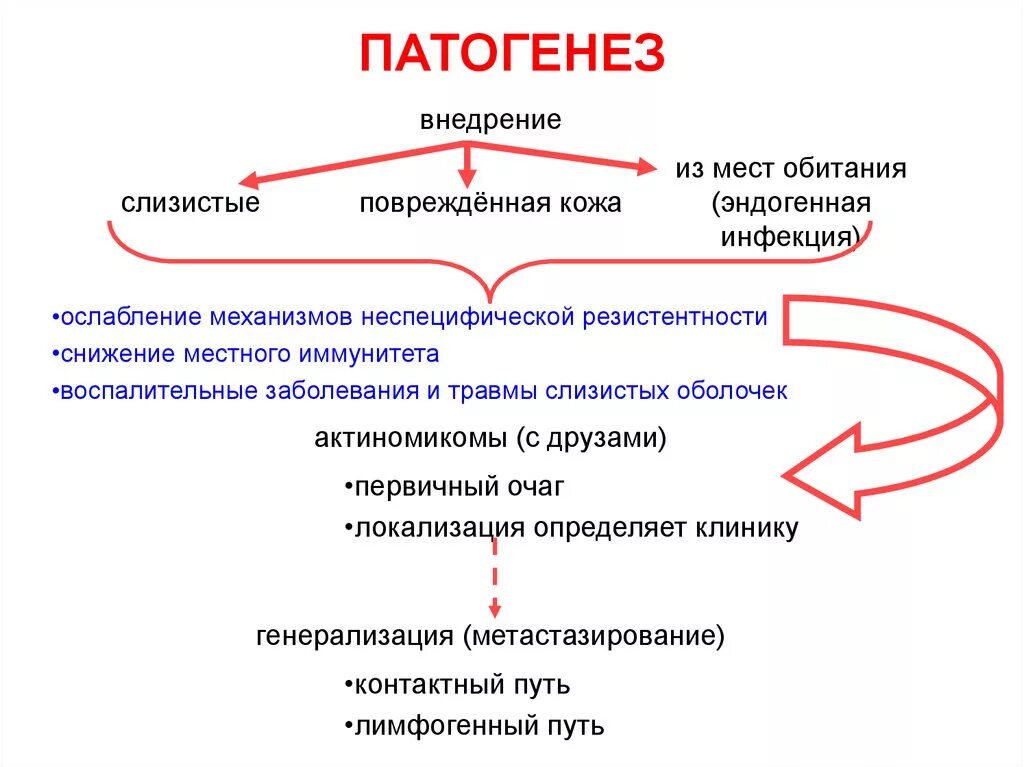 Исходы патогенеза. Патогенез эндогенных инфекций. Этиология и патогенез схема. Патогенез заболевания схема. Патогенез инфек болезни.