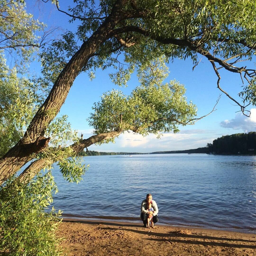 Пляж Лопотово Истринское водохранилище. Пляж Лечищево Истринское водохранилище. Истра водохранилище пляж. Пляж Трусово на Истринском водохранилище. Истринские водоемы