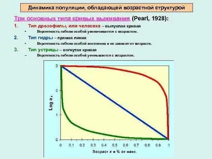 Типы динамики