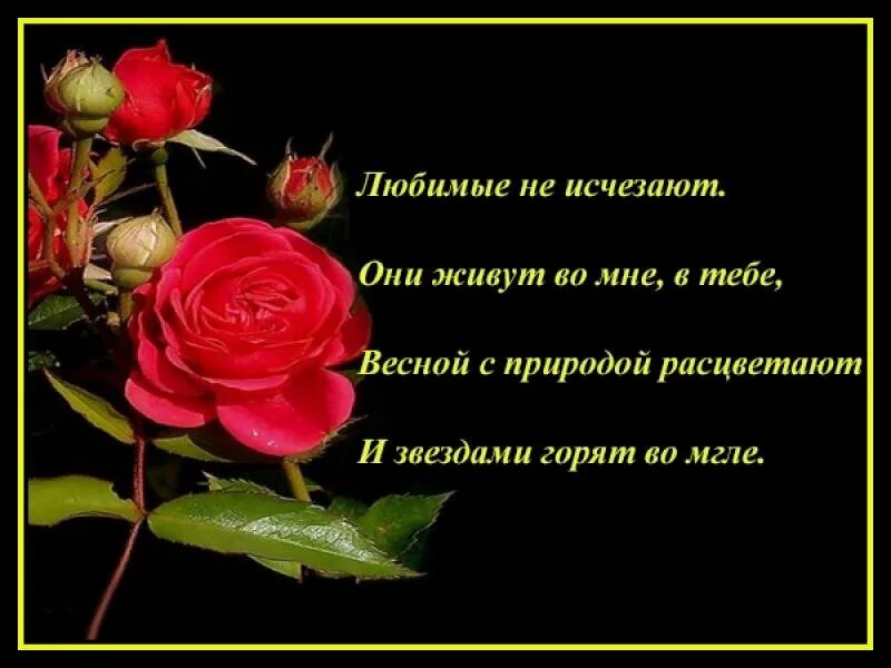 Слова соболезнования по поводу крокус сити. Соболезнования в стихах. Слова соболезнования. Соболезную стихи. Соболезнования по случаю смерти матери.