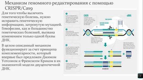 Редактирование генома