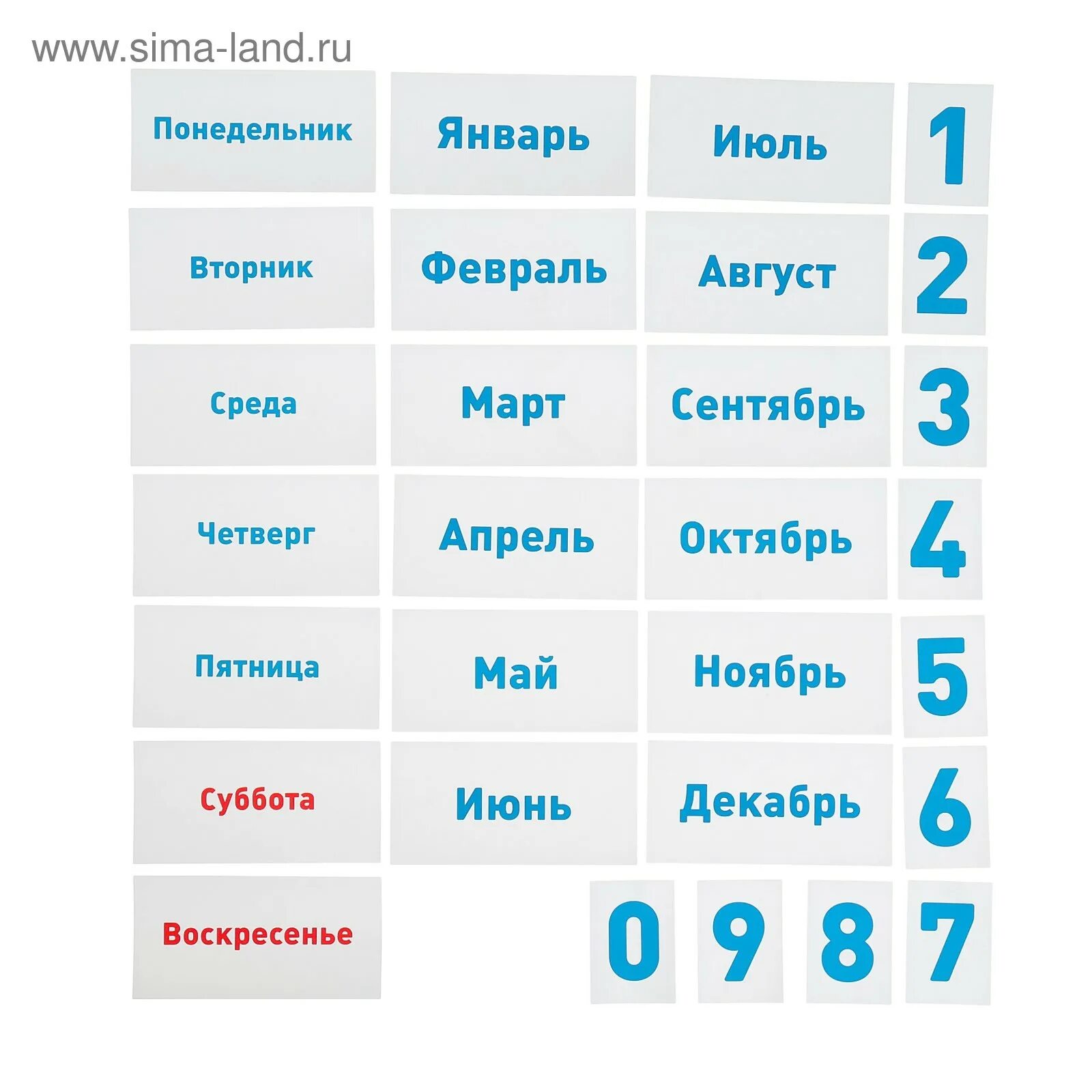 25 месяцев в днях. Цифры для календаря природы. Карточки для календаря природы. Название месяцев для календаря природы. Цифры и месяцы для уголка природы.