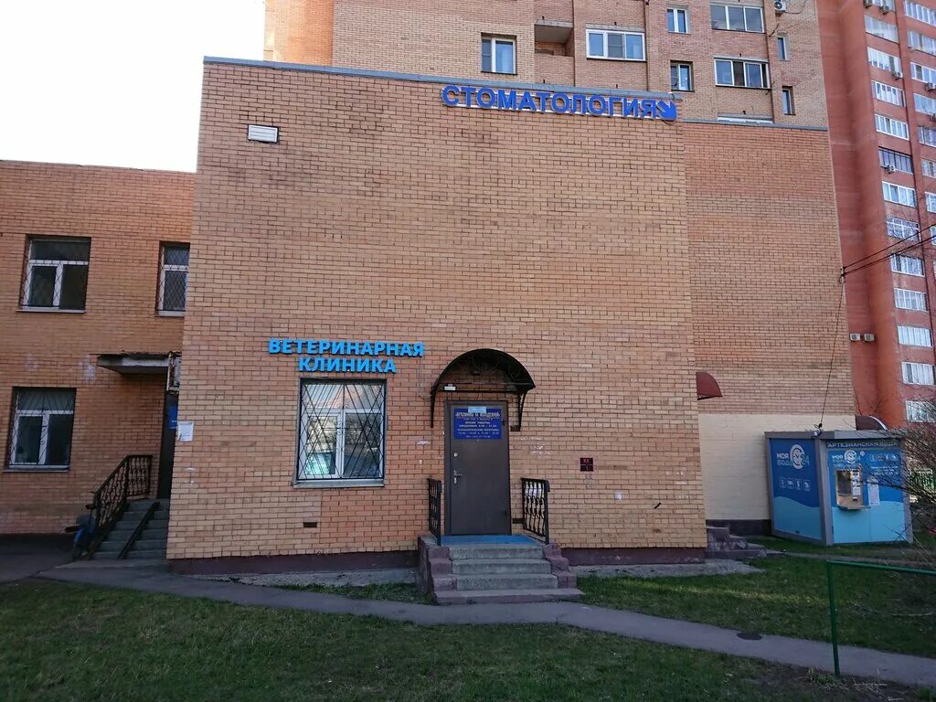 школа 32 химки германа титова. школа 32 химки. химки ул московская 32. химки ул московская 32. химки 32.