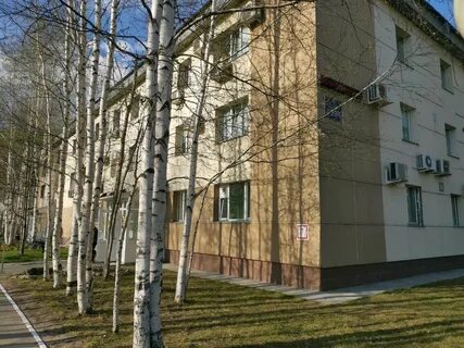 Диспансеры г сургут