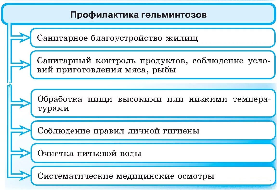 Правила по профилактике гельминтозов