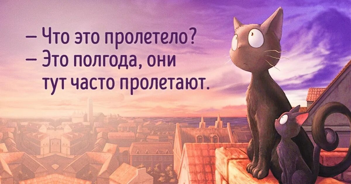 Чего мы живем чаще всего. Что это пролетело это полгода они часто тут пролетают. Полгода пролетело. Что это тут пролетело. Как быстро время пролетело картинки прикольные.