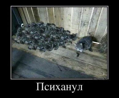 Фишки шуток