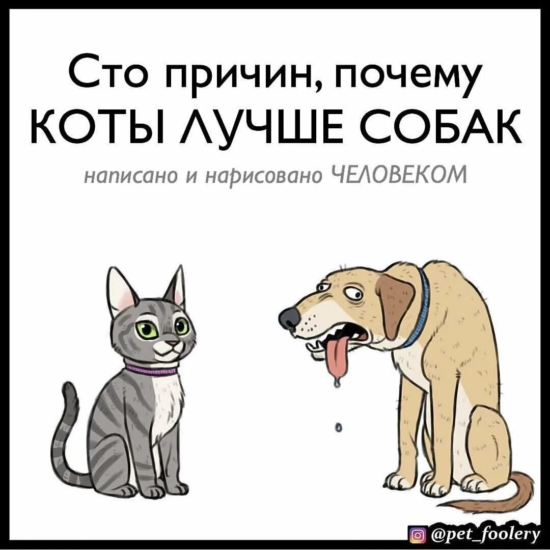 Собакам и котам можно