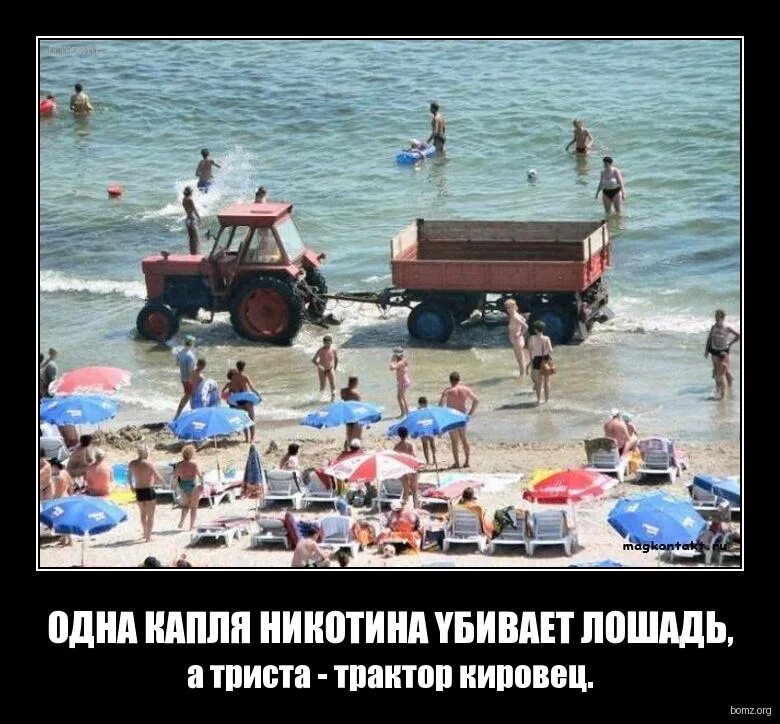 Сочинение на тему дружба 9. Парочка на берегу моря. Море любви. Пляж был пуст друзья. Пустой пляж на море.