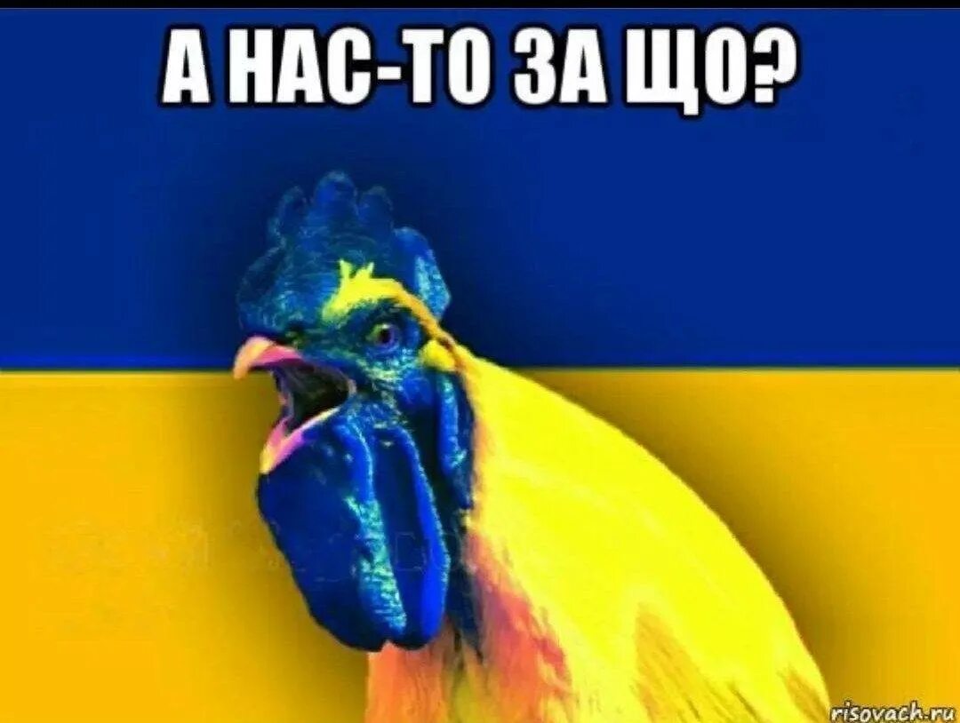 Я хохол. Хапфу. Шо с ебалом. Молния маквин мем. Шо с ебалом.
