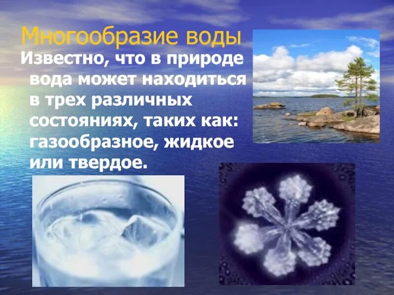 Разные состояния воды в природе. Разнообразие воды в природе. Жидкое состояние воды. Состояние воды в природе. Примеры состояния воды