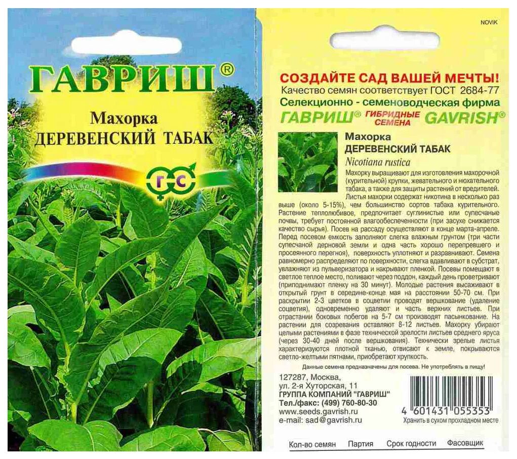 Как вырастить махорку. Как вырастить махорку