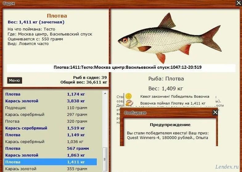 Плотва рыба на что ловить. На что ловить плотву. плотва размеры. на что ловится плотвичка. на что клюет плотва.