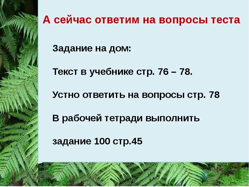 Загадка про папоротник. Загадка про папоротник для детей. Загадка про папоротник 5 класс. Загадка про папоротник для детей короткие.