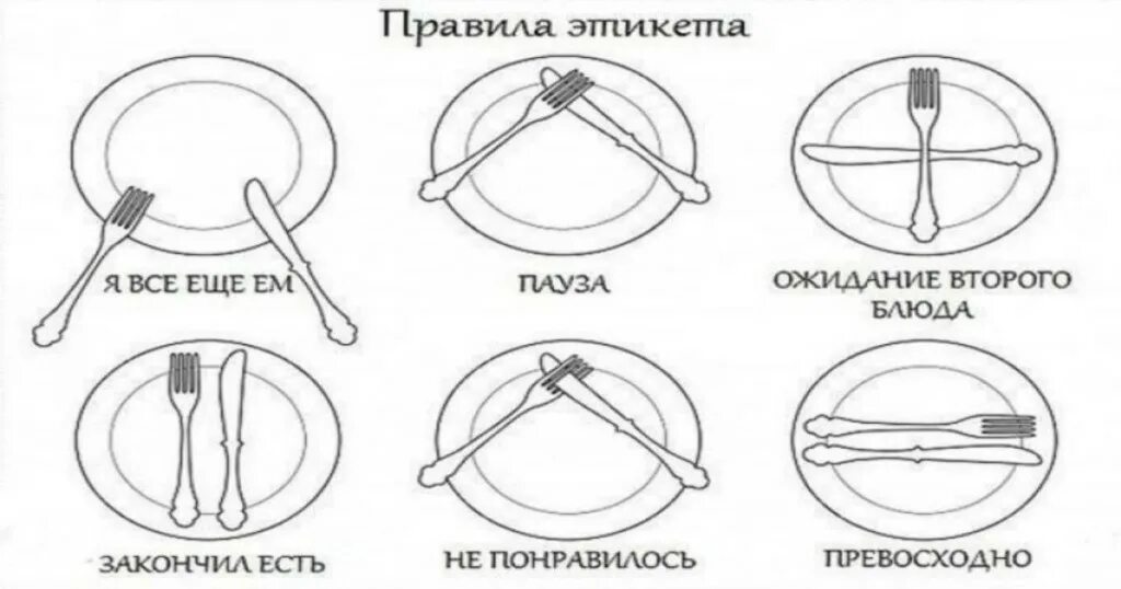 Этикет за столом. Этикет за столом приборы. Схема вилки и ножа. Столовый этикет приборы на тарелке.