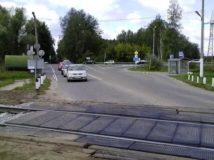 Окружная дубна