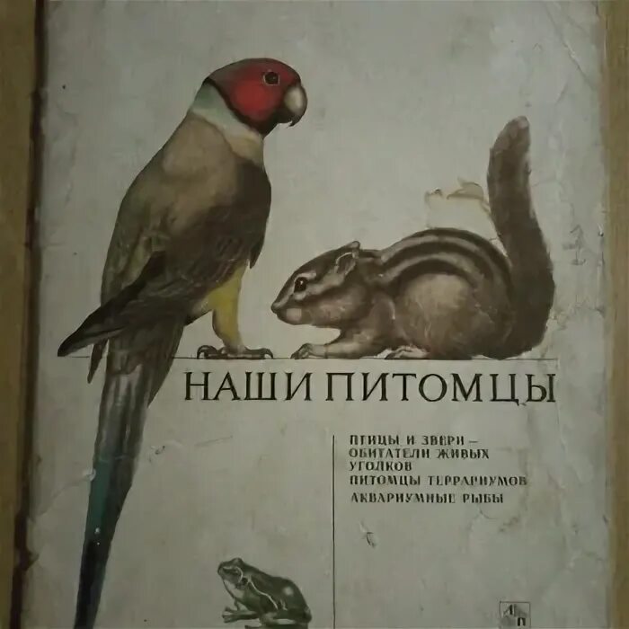 Наши питомцы книга. Наши питомцы книга 1986. Наши питомцы Гусев. Наши питомцы книга 1986 Гусев. Огэ наши питомцы несмотря на долгие годы