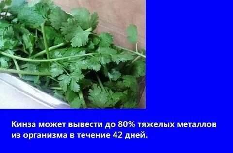 Что такое из организма. Что такое из организма