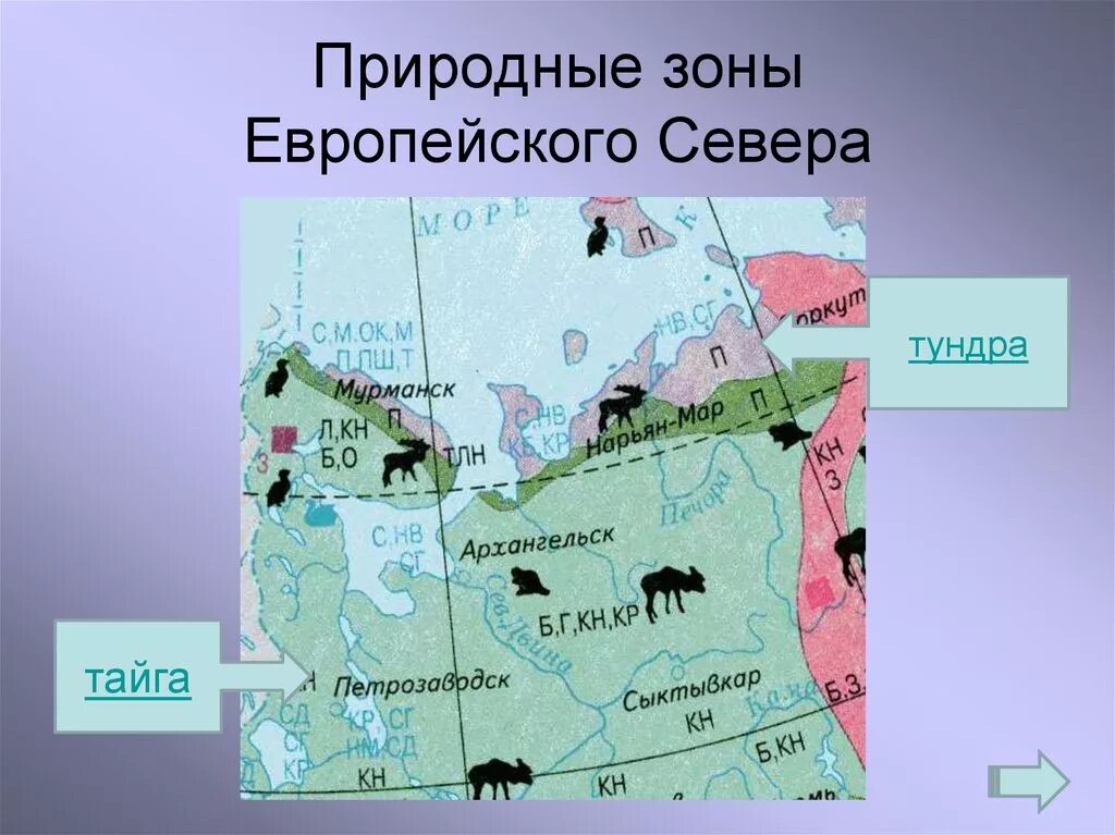 Какая зона располагается в самой северной части. Карта природных зон европейского севера. Карта почв европейского севера. Природные зоны европейского севера.