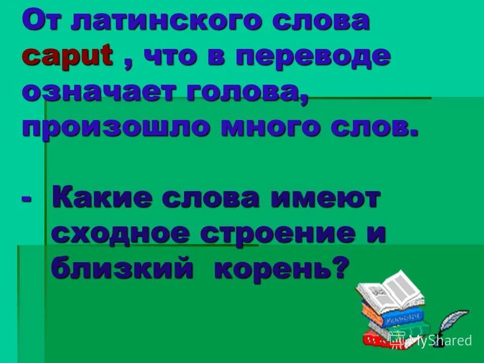 Получило от латинского слова