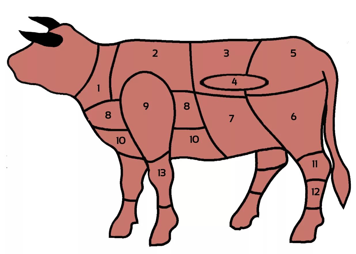 Корова какое мясо. Огузок оковалок кострец. Схема разрубки говядины. Схема разруба говяжьей туши. Схема разрубки туши говядины.