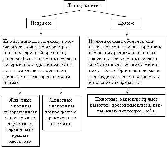 Работа по онтогенезу 10 класс. Типы индивидуального развития прямое и Непрямое развитие. Типы постэмбрионального развития схема. Типы развития организмов схема. Типы развития схема онтогенез.