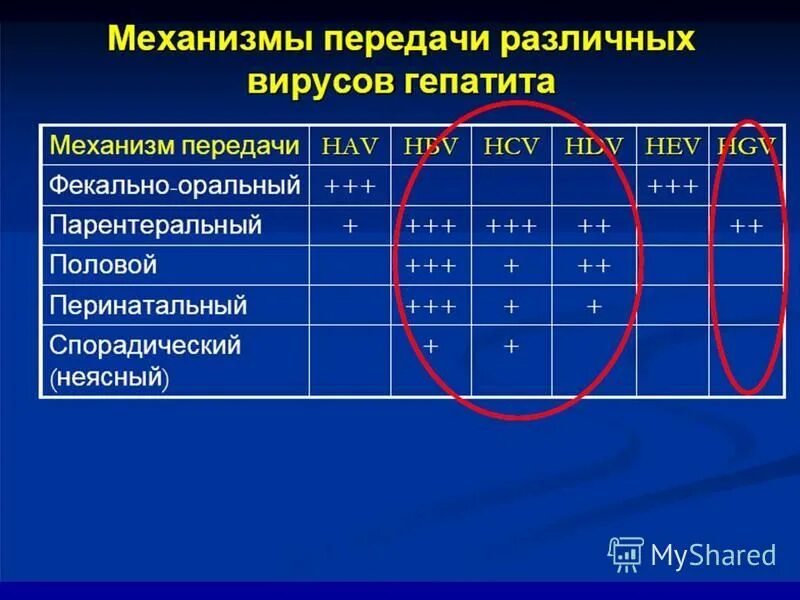 Механизм вирусного гепатита