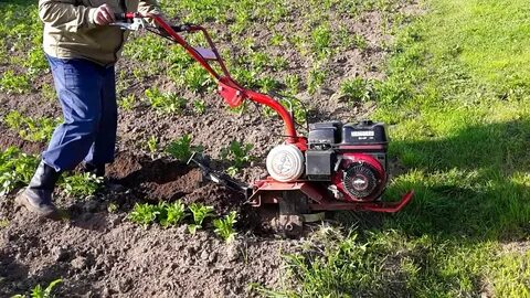 Мотокультиватор видео