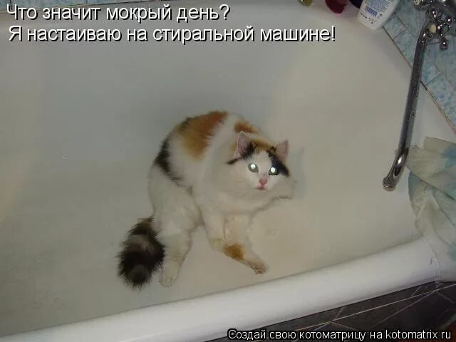 Что означает пятница. Укладка волос влажность. Фотосессия мокрая девушка. Что означает мокрая. Что означает мокрую.