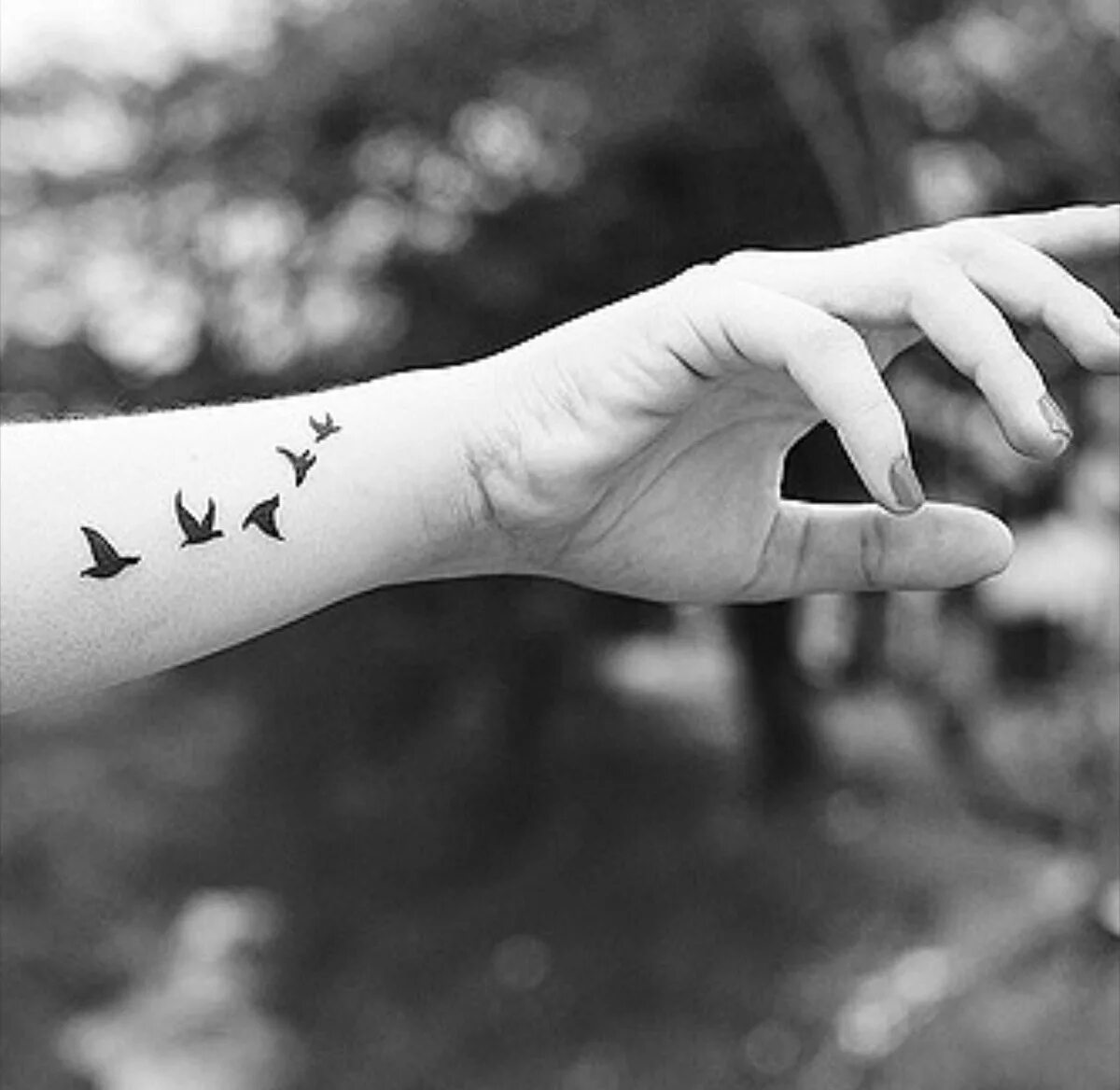 Птица на запястье. Тату птицы. Тату птицы на руке. Маленькие тату на руке птицы.