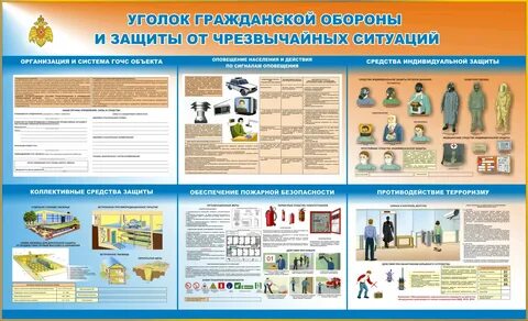 Организация гочс