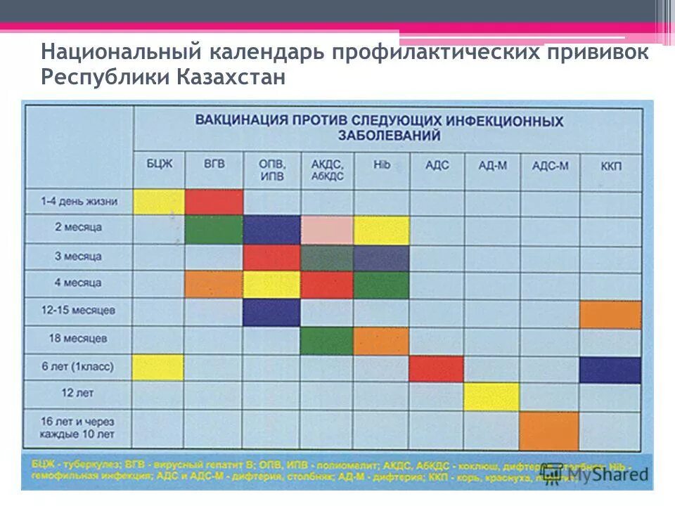 Через сколько делают прививку манту