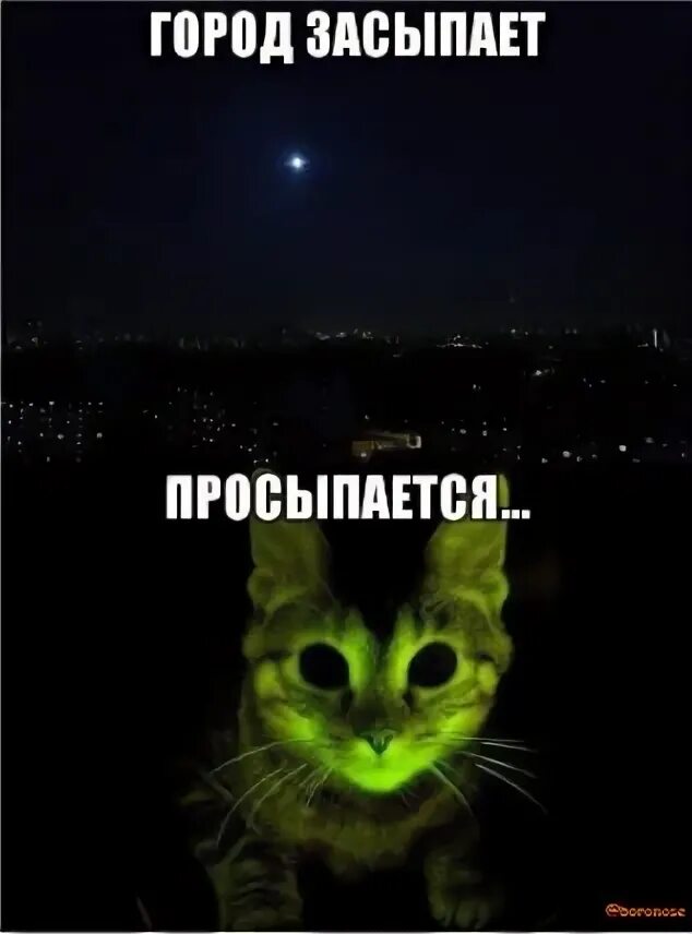Город просыпается мафия. Засыпанные города. Город засыпает слова. Город засыпает просыпается мафия. Город сасырает, просыпается м.