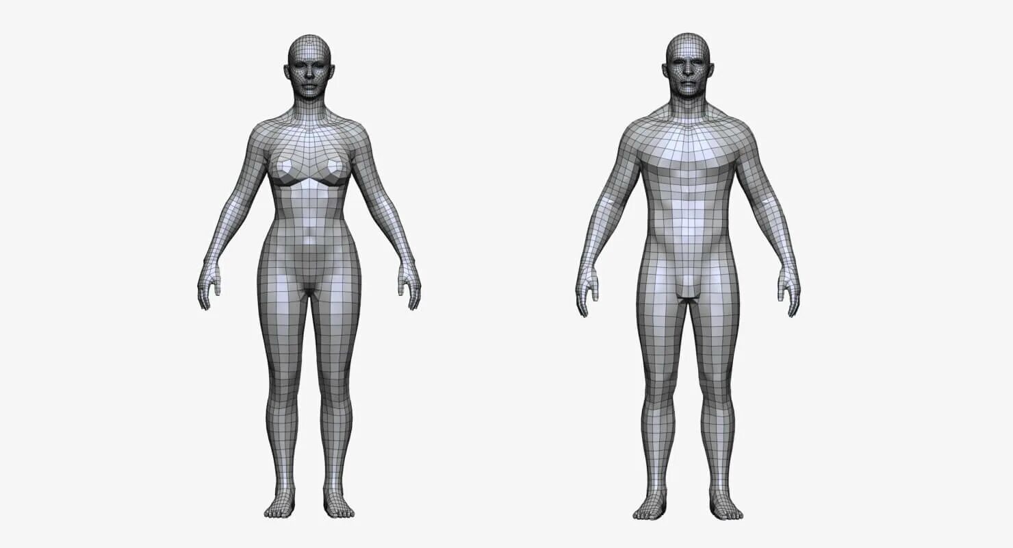 Модель человека фотографиям. Модель человека. 3д модель человека. Моделька человека. Макет человека 3д.
