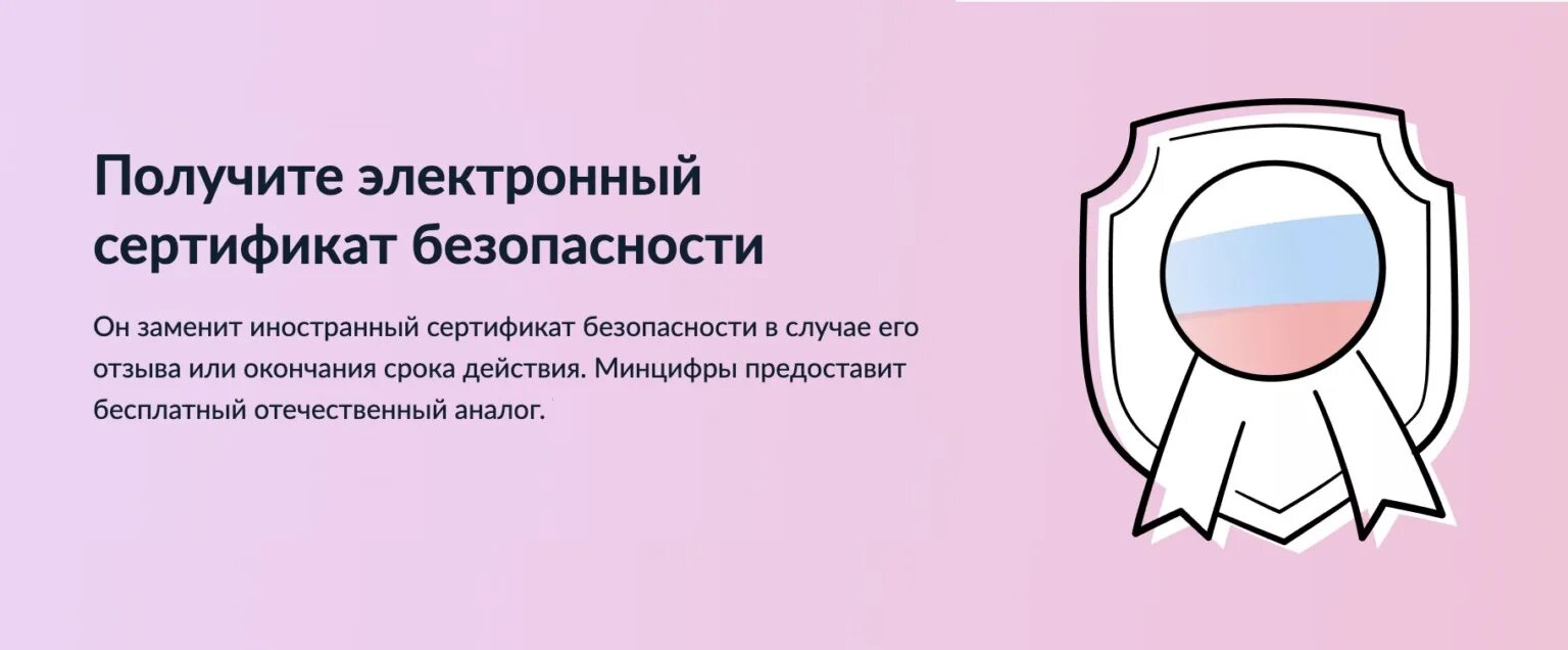 Ошибка минцифры