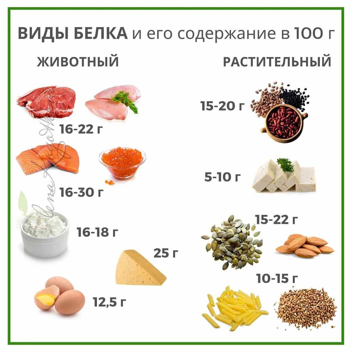 Сколько белка подростку. Белок в продуктах. Грамм белка в продуктах. Белок в граммах в продуктах. 100 Грамм белка в день.