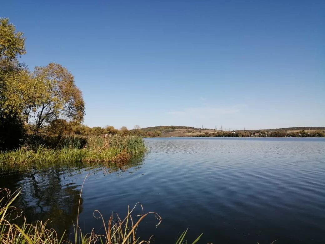 Советск озеро. Река УПА Щекинское водохранилище. Водохранилище Советск Щекинский район. Щекинское водохранилище Тульская область. Тула водохранилище.