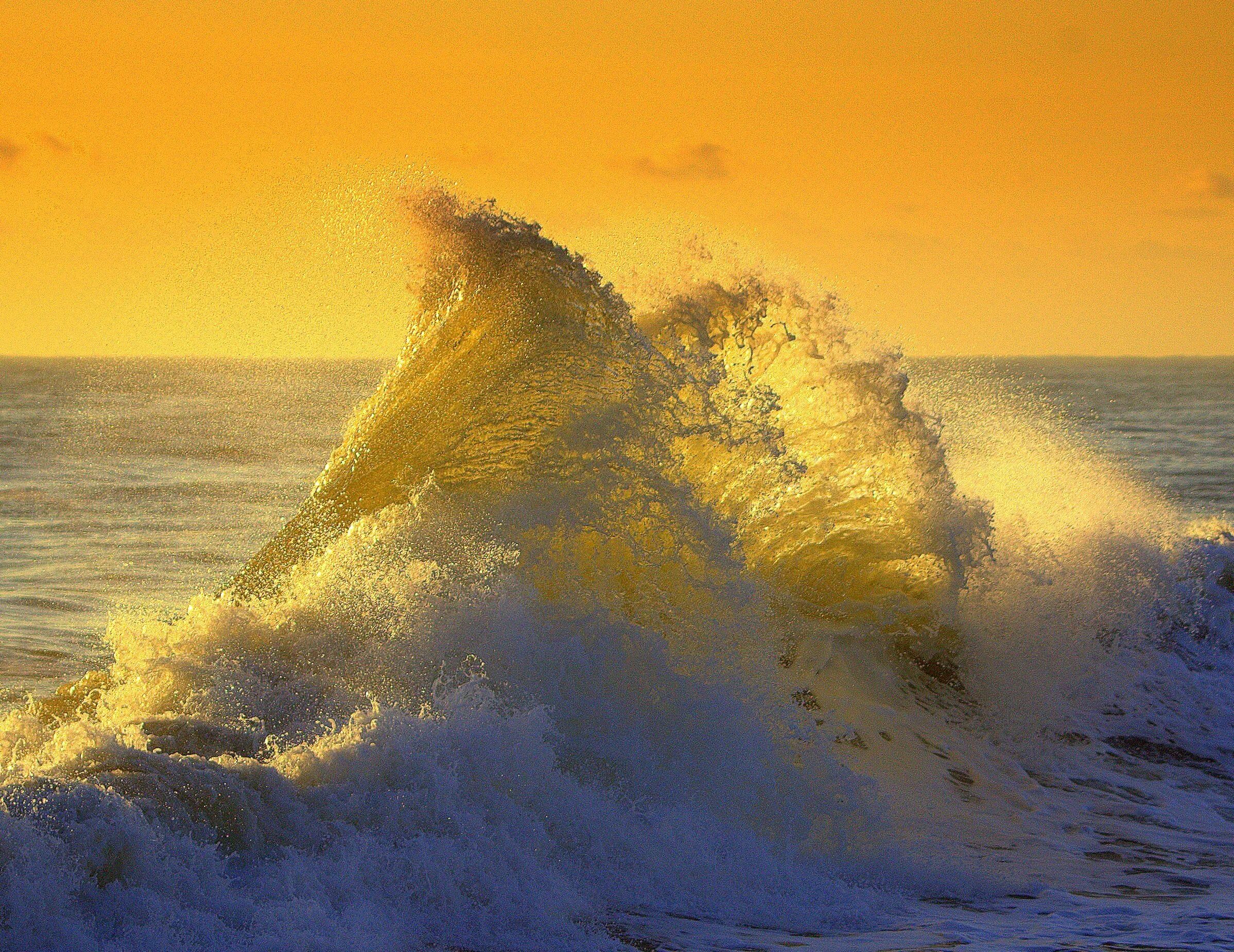 море солнце ветер. рассвет над океаном. море солнце ветер. море солнце ветер. красивое море с чайками.