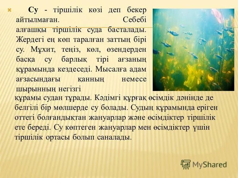 судың пайдасы презентация. сочинение на тему эссе. как начать писать эссе. эссе на тему су. сусыз.