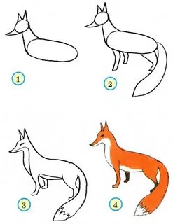 Пошаговое рисование лисы