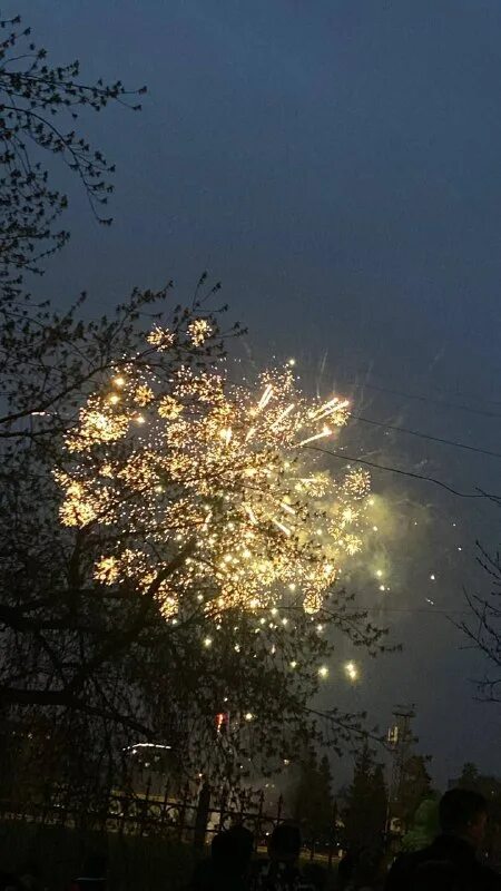 Фейерверк новосибирск 9 мая. Фейерверк новосибирск 9 мая. Фейерверк новосибирск 9 мая. Салют 9 мая новосибирск. Новосибирск с огоньком.