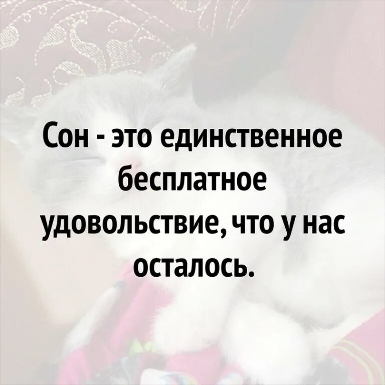 Думаю что удовольствие это. Сон единственное бесплатное удовольствие. Сон это единственное бесплатное удовольствие что у нас осталось. Фразы про удовольствие. Сон главное лекарство.