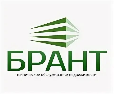 Вектор мытищи отзывы