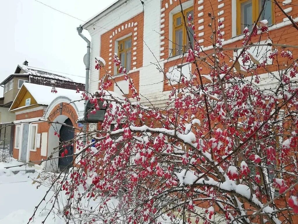 Анастасов монастырь Одоев. Дом купца Каширина Одоев. Одоев Кремль. Одоев зимой. Погода на неделю одоев тульской области